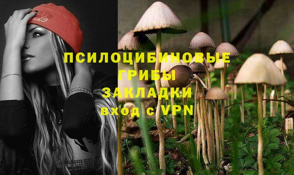 Альфа ПВП Бугульма