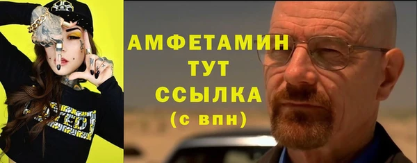 индика Беломорск