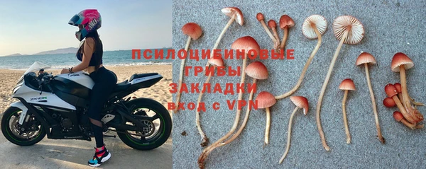 тгк Кострома