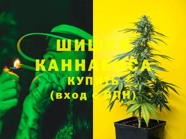 бошки Бородино