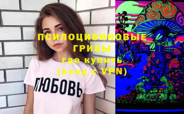 индика Беломорск