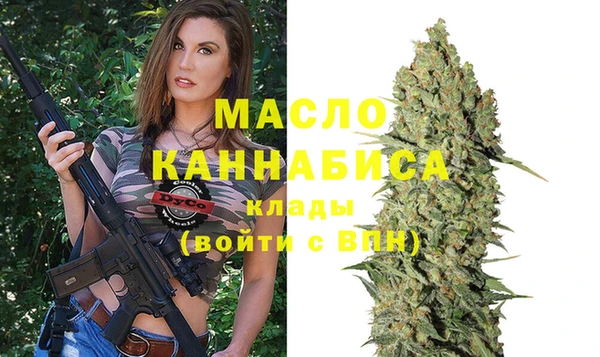 индика Беломорск