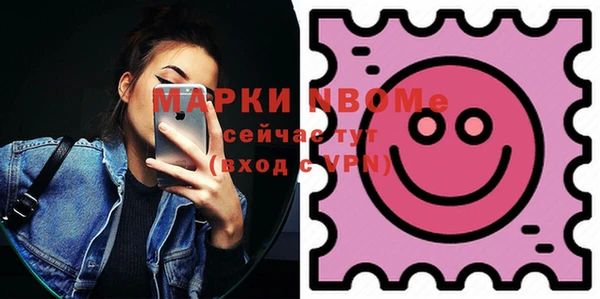 индика Беломорск
