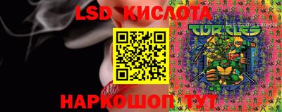 кокс Гусев