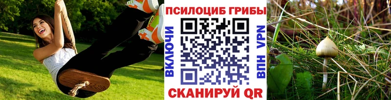 Галлюциногенные грибы прущие грибы  наркотики  Валуйки 