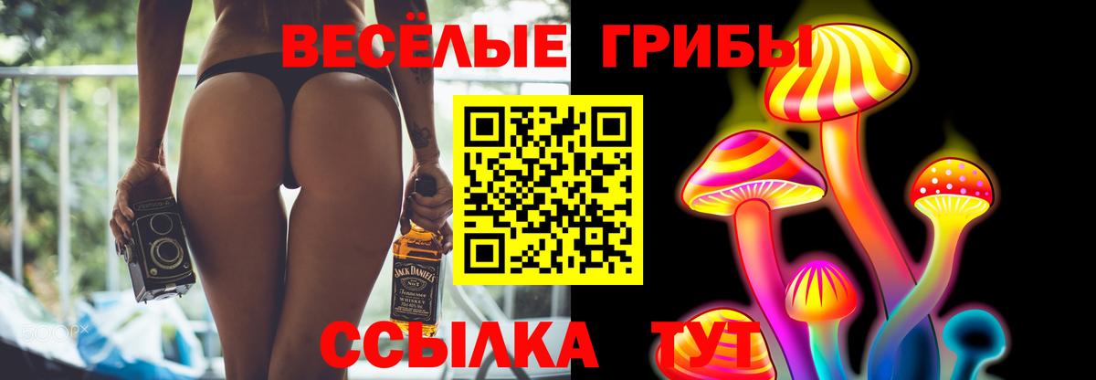 Галлюциногенные грибы мицелий  Галлюциногенные грибы Psilocybine cubensis  Валуйки  Вход с VPN 
